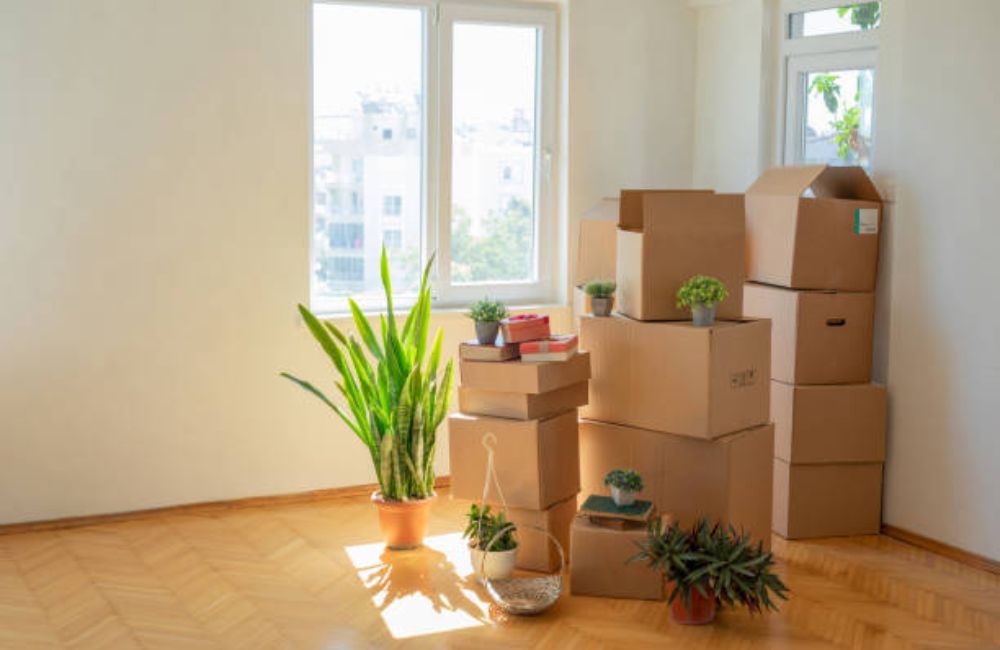 Home Preparation & Renovation for Sale Home Preparation & Renovation for Sale